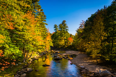 Early autumn color along the Swift River in Conway, New Hampshire.