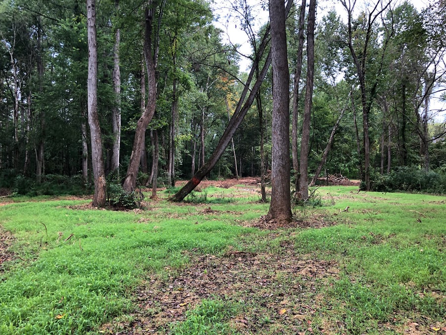 upper rocky conservation mitigation lake cornelius charlotte nc