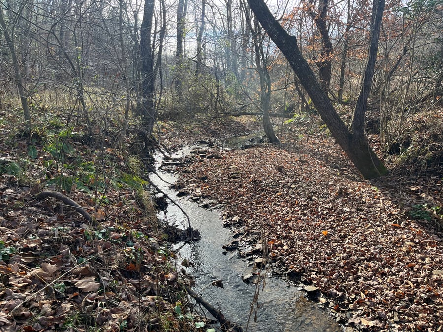 straight creek ky conservation mitigation easement non-profit
