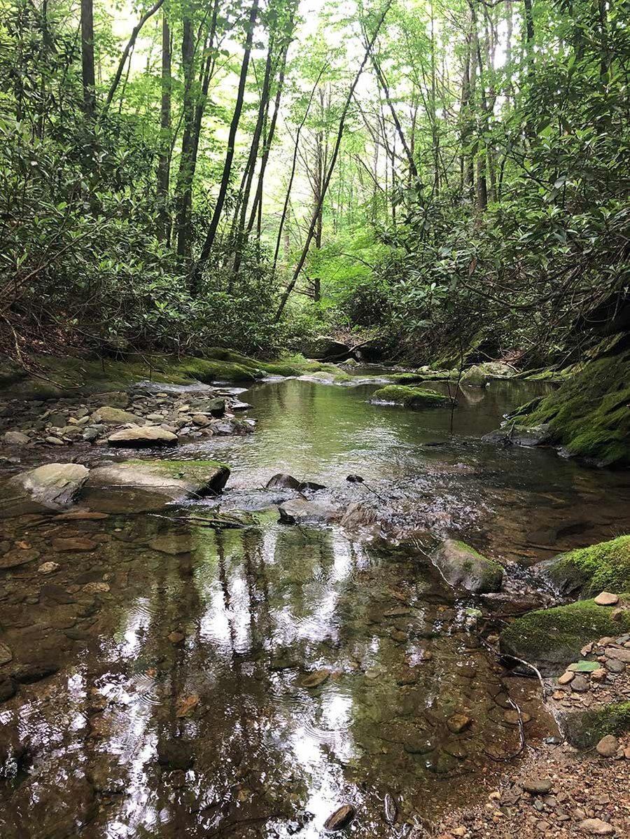 watauga wilkes counties nc conservation mitigation easement non-profit