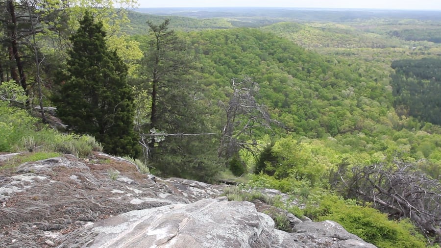 box springs wilderness land conservation in north carolina