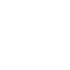 american-alligator