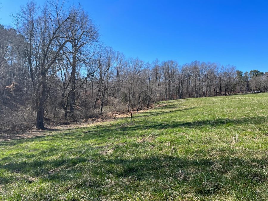 photo of bandit farms conservation mitigation easement in north carolina