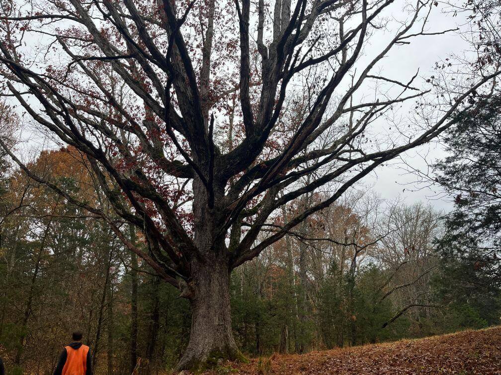 conservation mitigation agricultural lands tennessee