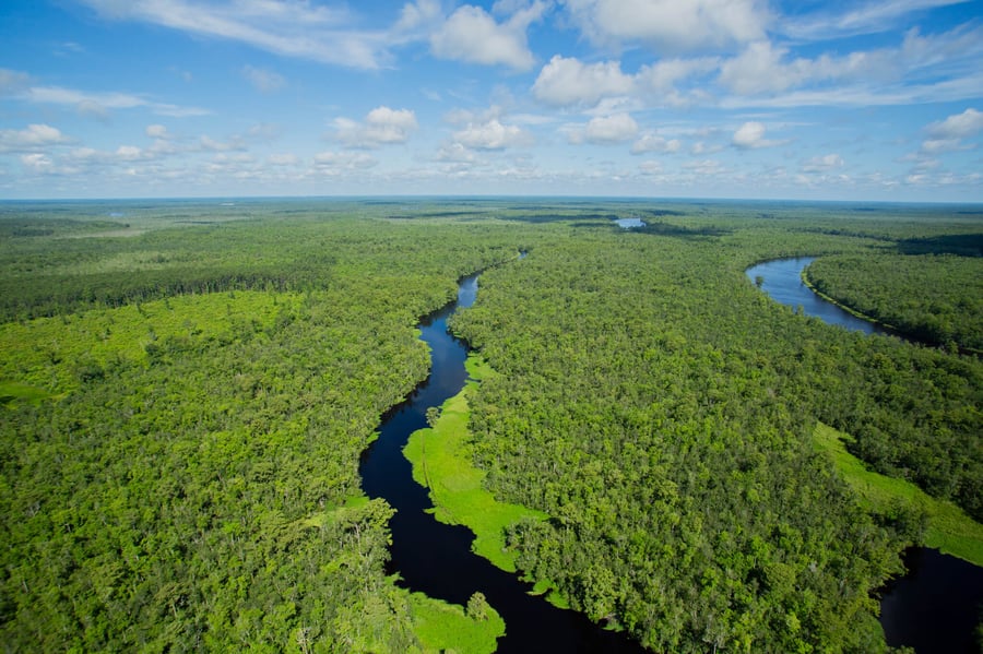 photo of wetlands near the ocean
