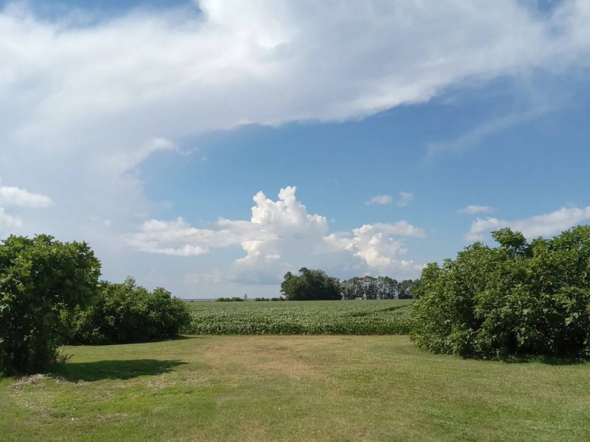 conservation working lands family farm