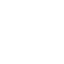 darter fish