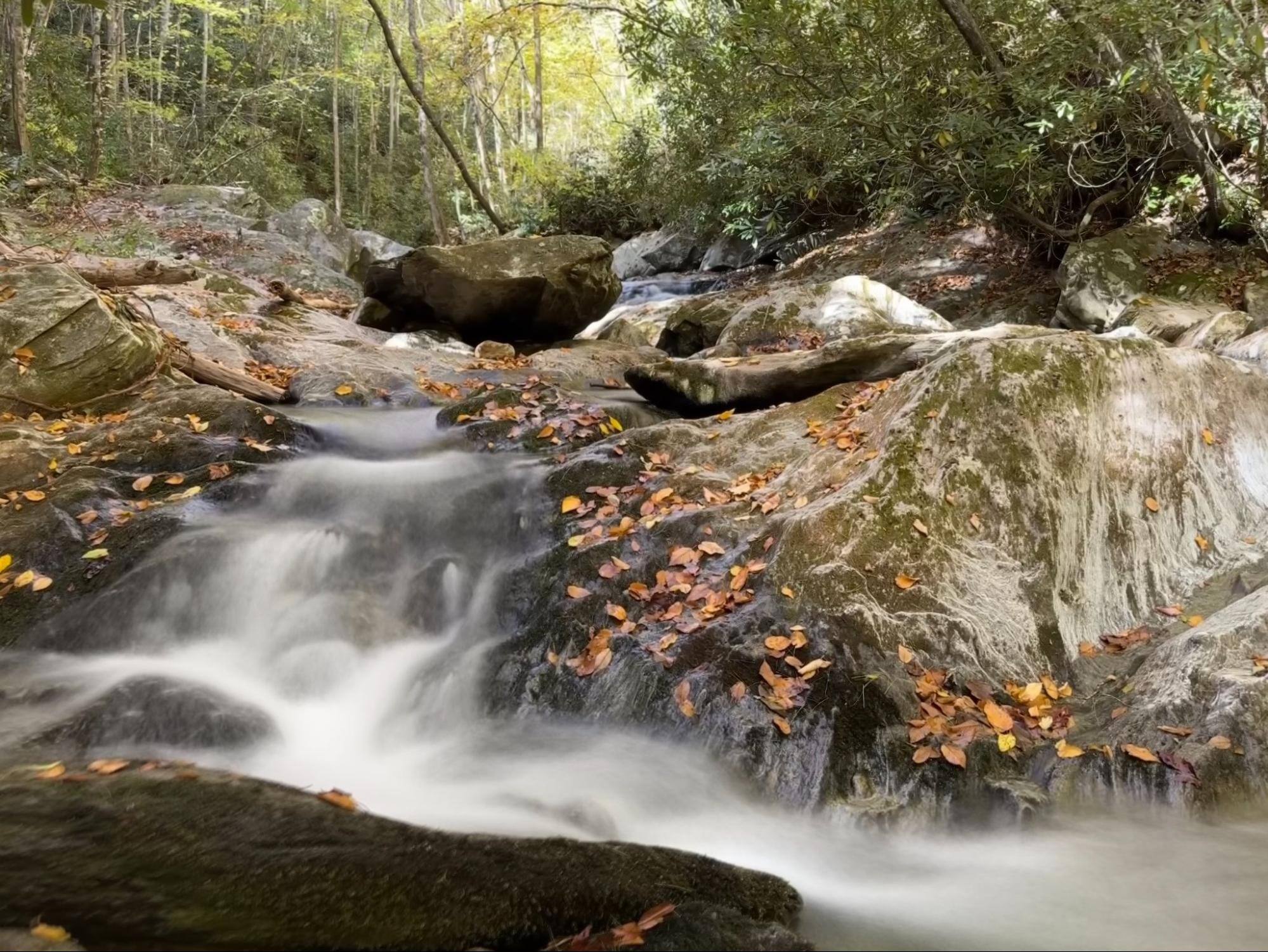 dugger creek conservation easement