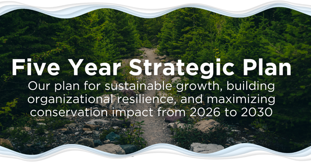 five year strategic plan