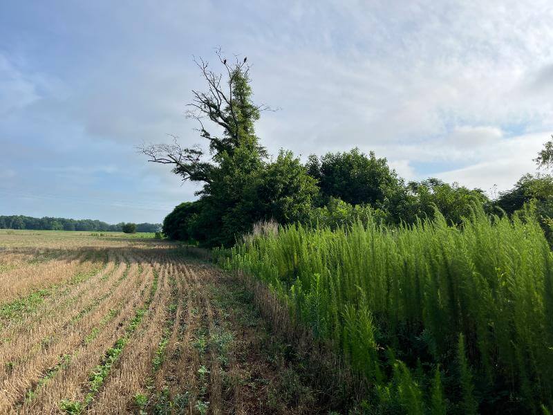 hatch hill conservation easement working lands