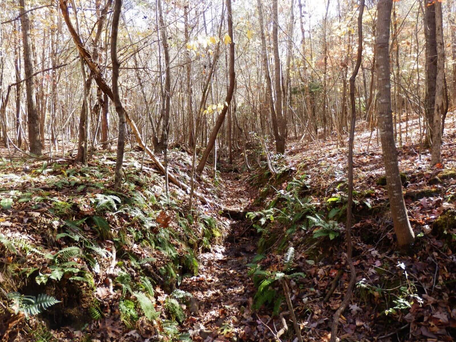 hopkins farm conservation easement
