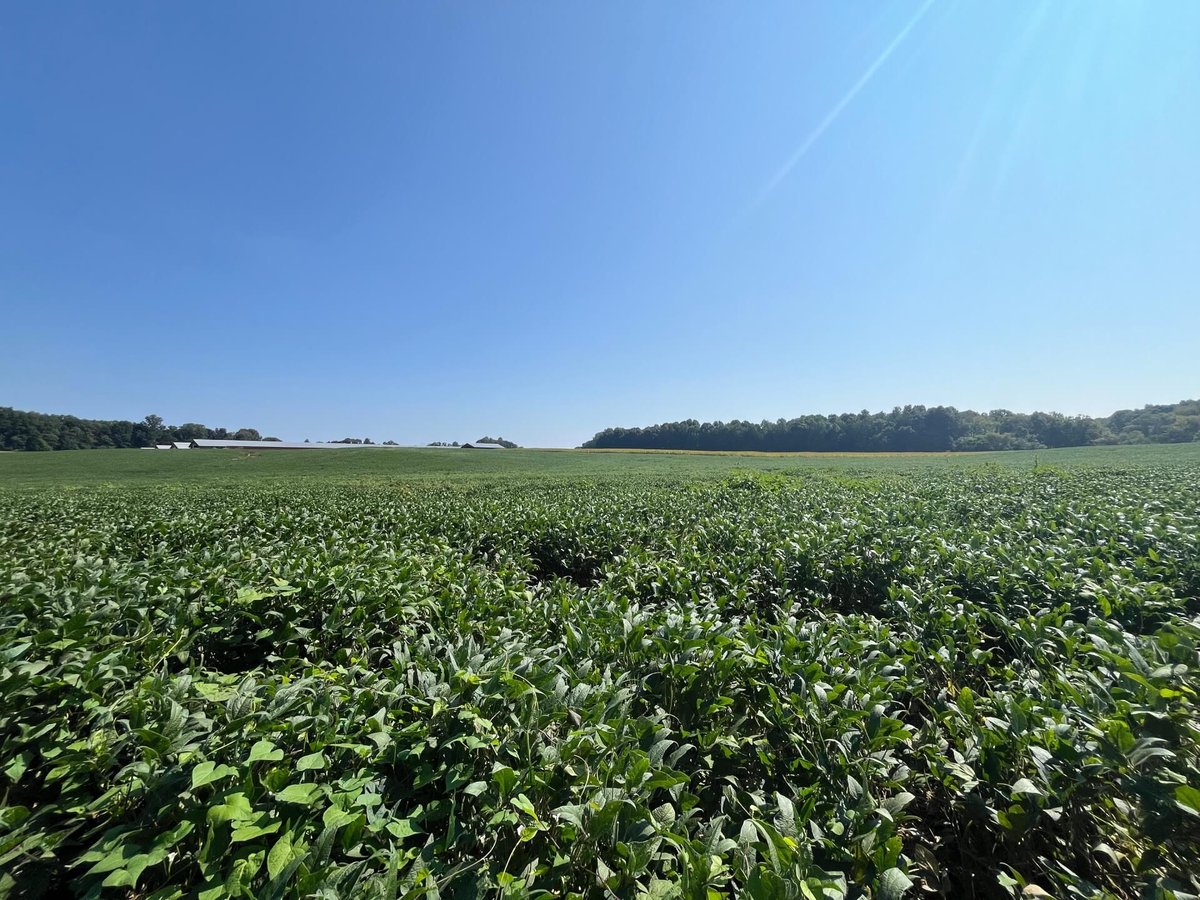 jigsaw conservation easement davidson rowan nc