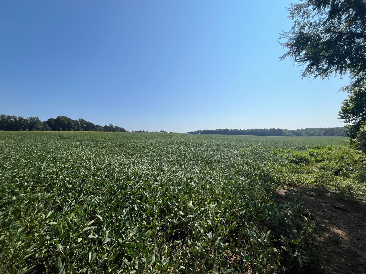 jigsaw conservation easement north carolina