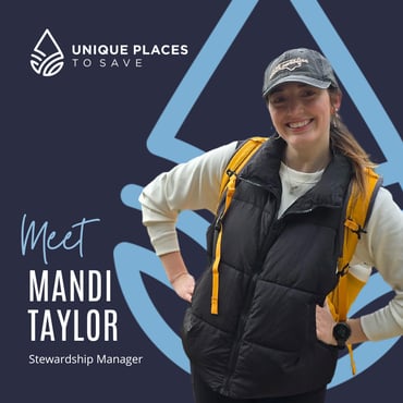mandi taylor stewardship manager