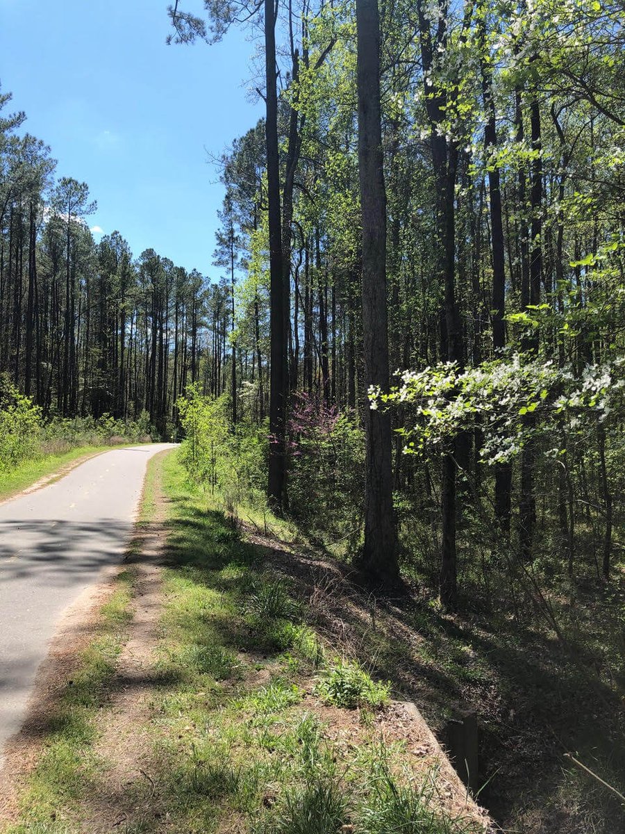 massey chapel conservation easement