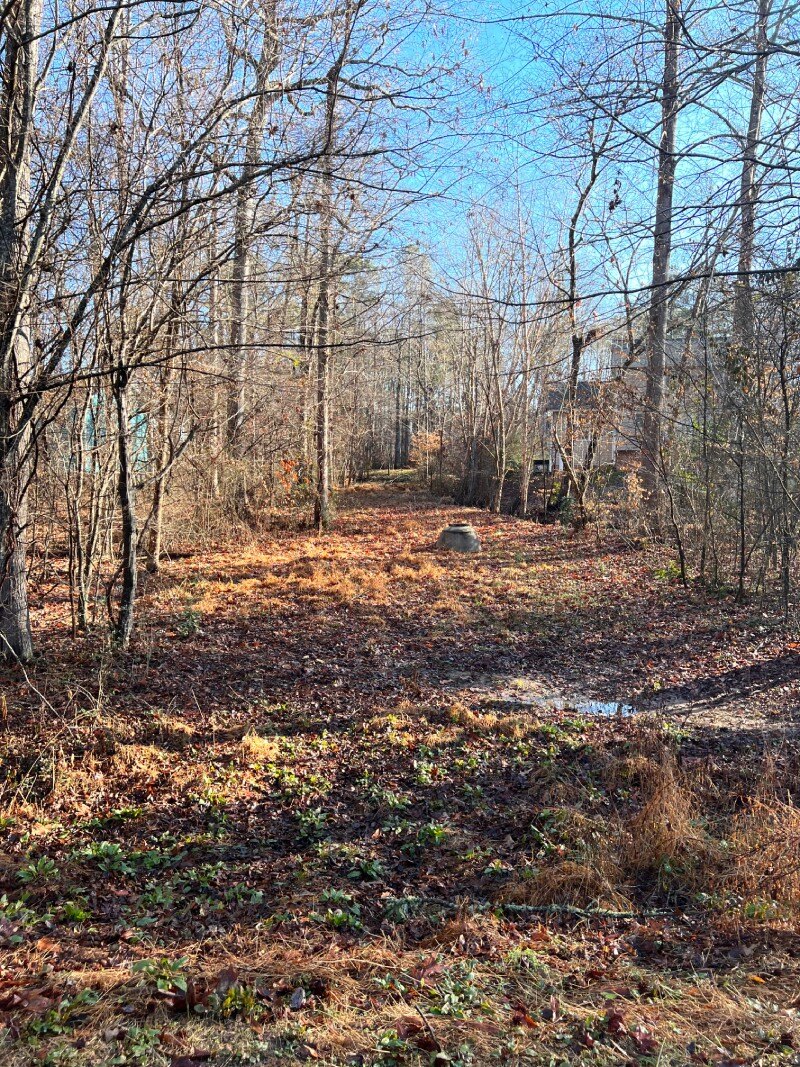 massey chapel land conservation