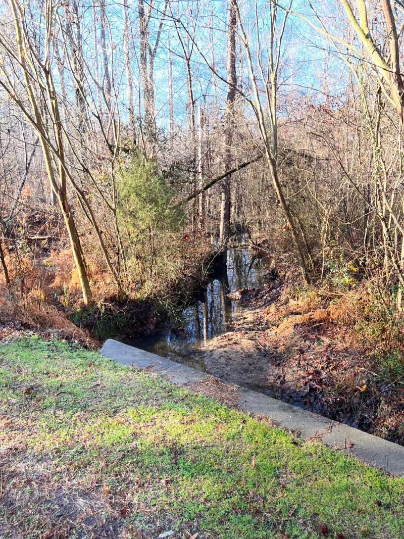 massey chapel stream restoration nc