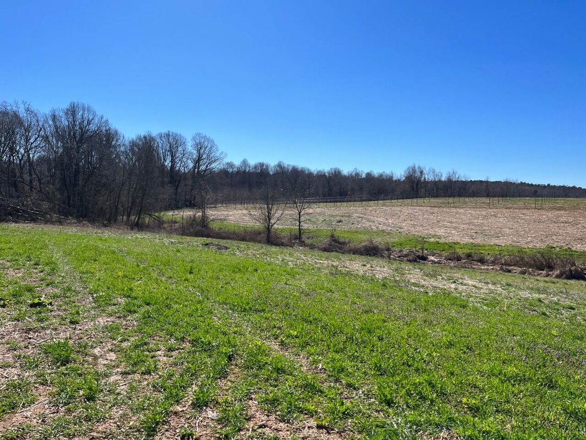 photo of bandit farms conservation mitigation