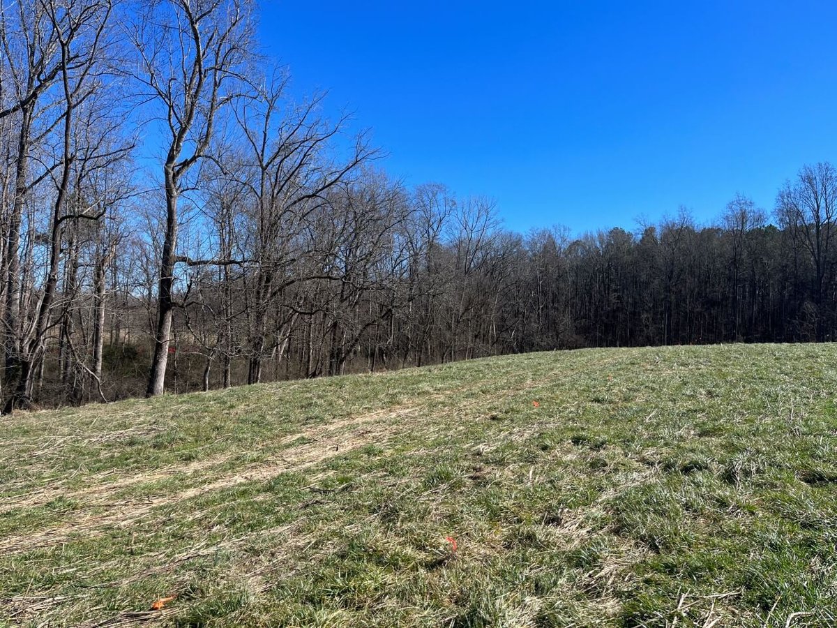 photo of bandit farms north carolina