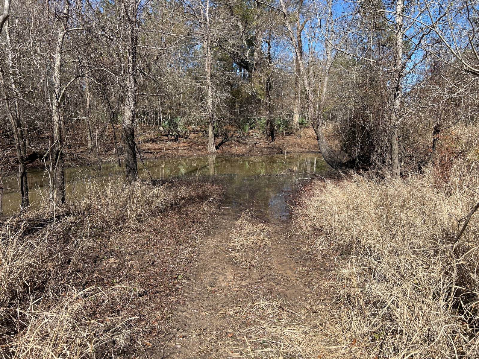 photo of batiste creek conservation easement texas