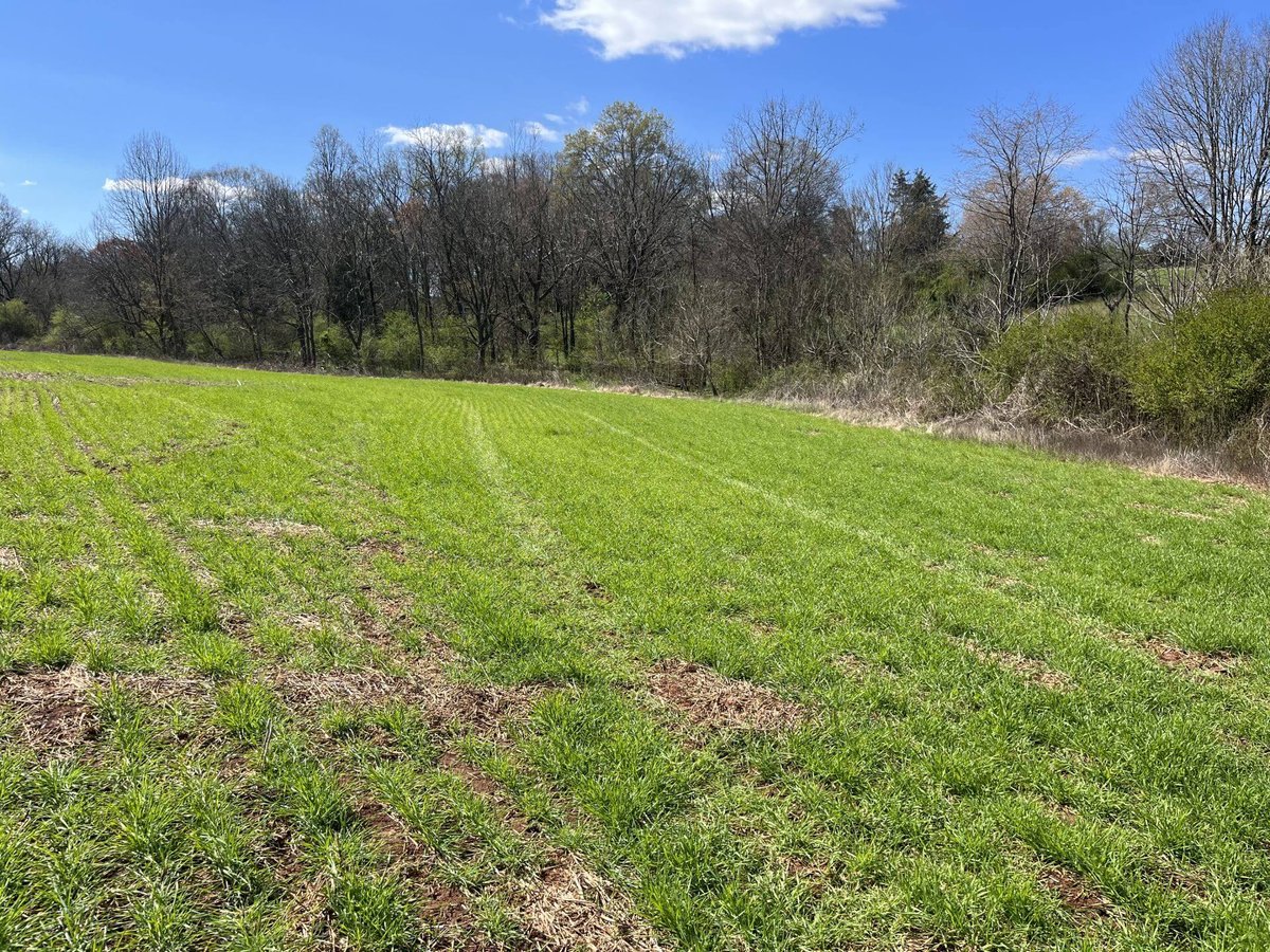 photo of beaver tail conservation easement north carolina