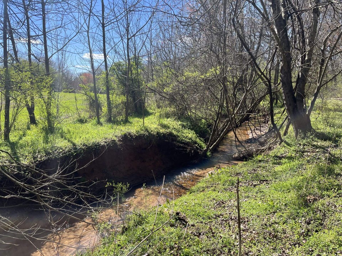 photo of beaver tail conservation easement