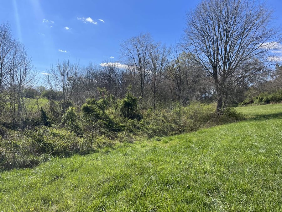 photo of beaver tail conservation easement in lincoln county nc