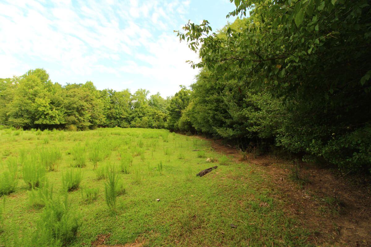 photo of blue sky conservation easement