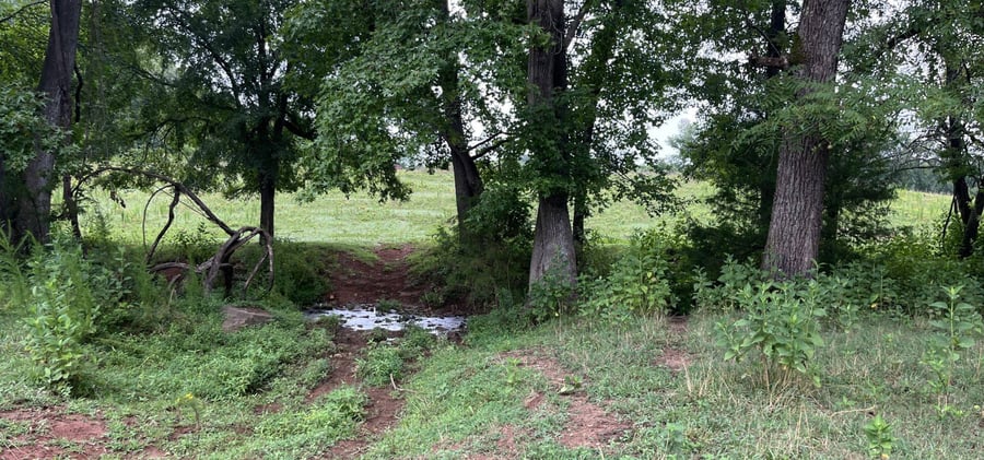 photo of bootstrap conservation mitigation easement