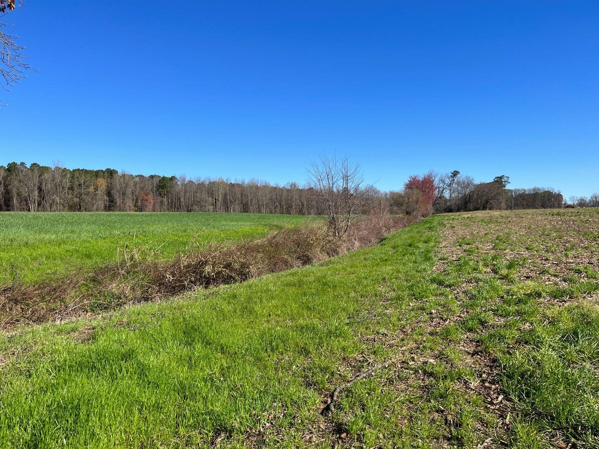 photo of brooks swamp conservation easement