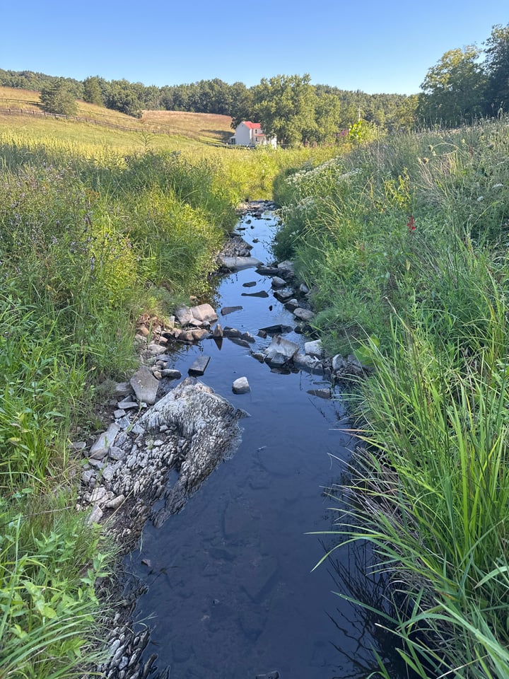 photo of camp run conservation easement west virginia