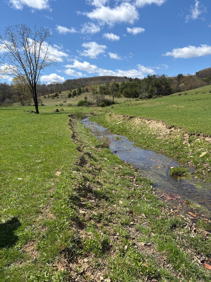 photo of camp run conservation easement wv