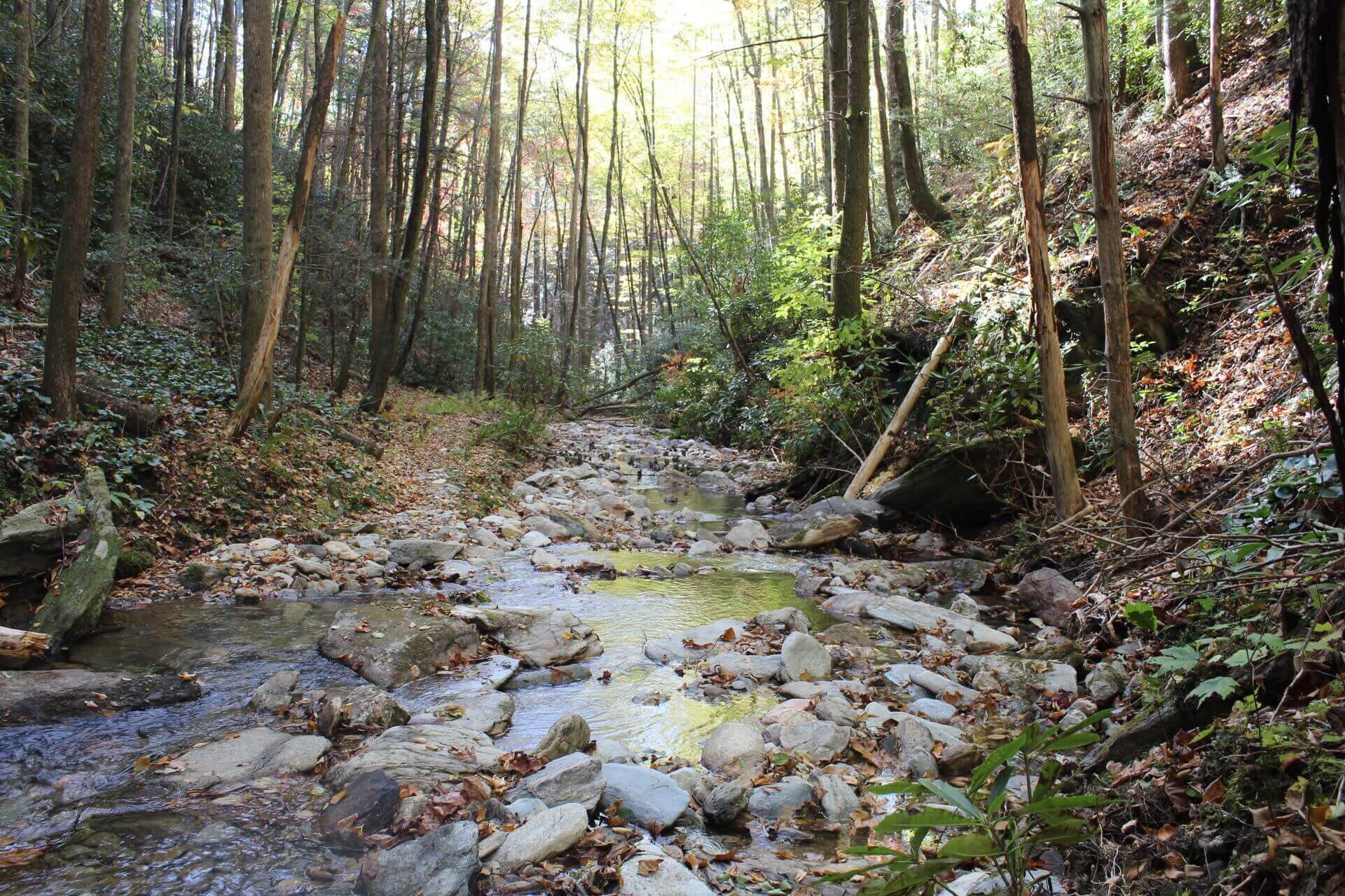 photo of conservation easement in boone nc-1