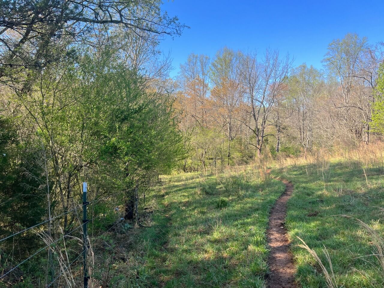 photo of conservation easement in north carolina