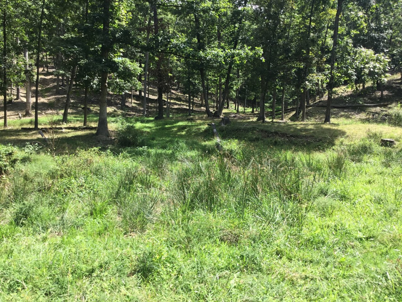 photo of conservation easement in west virginia