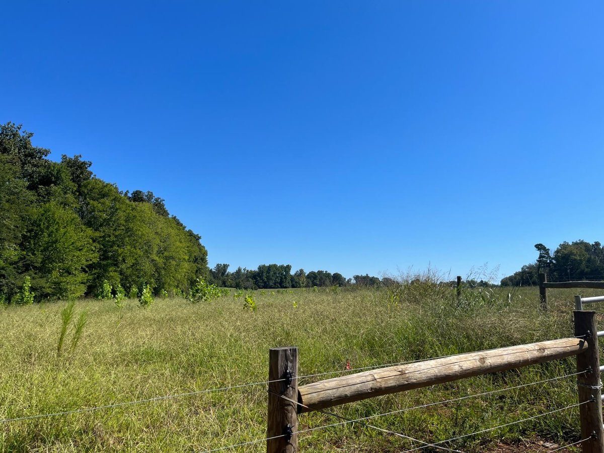 photo of conservation easement mitigation bank nc