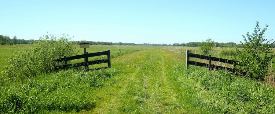 photo of conservation easement