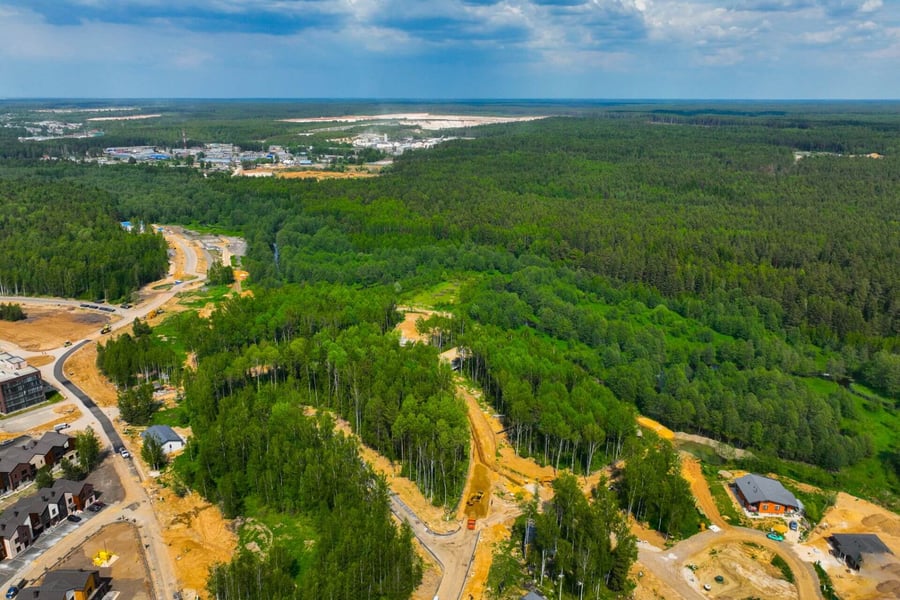 photo of conservation in housing development