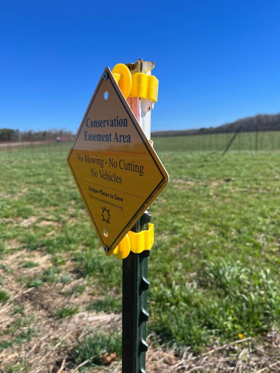 photo of conservation mitigation easement in north carolina