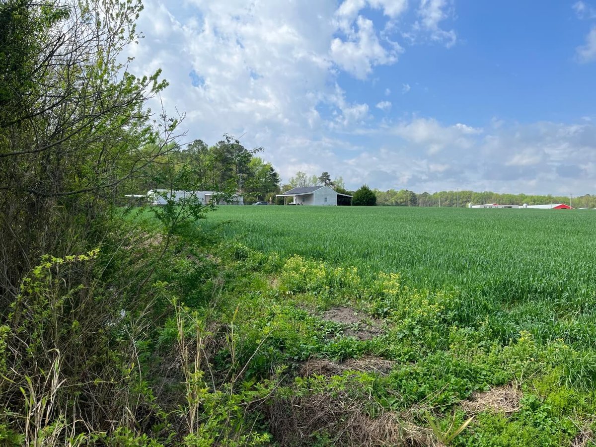 photo of conservation mitigation easement nc