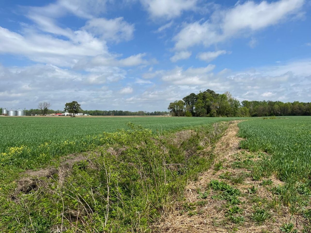 photo of cox pond conservation easement in north carolina