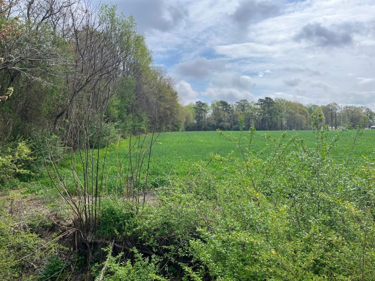 photo of cox pond conservation easement