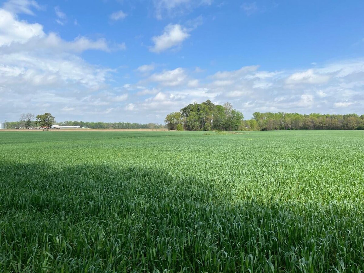 photo of cox pond conservation mitigation easement