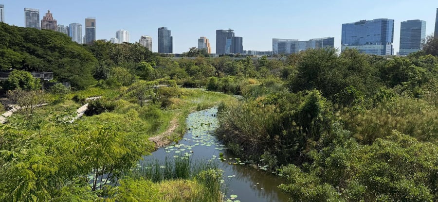photo of critical aquatic infrastructure in resilient community