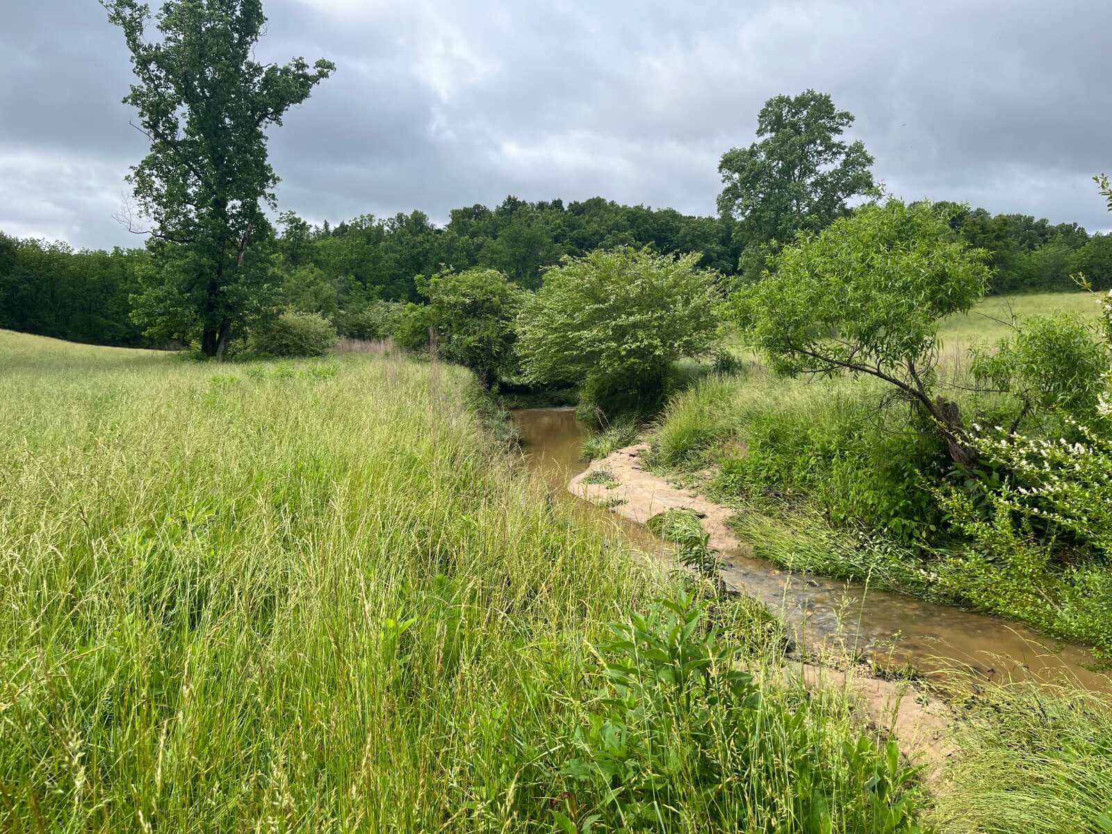 photo of double rock conservation easement nc