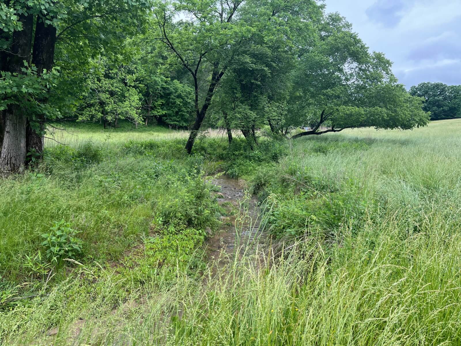 photo of double rock conservation mitigation easement nc