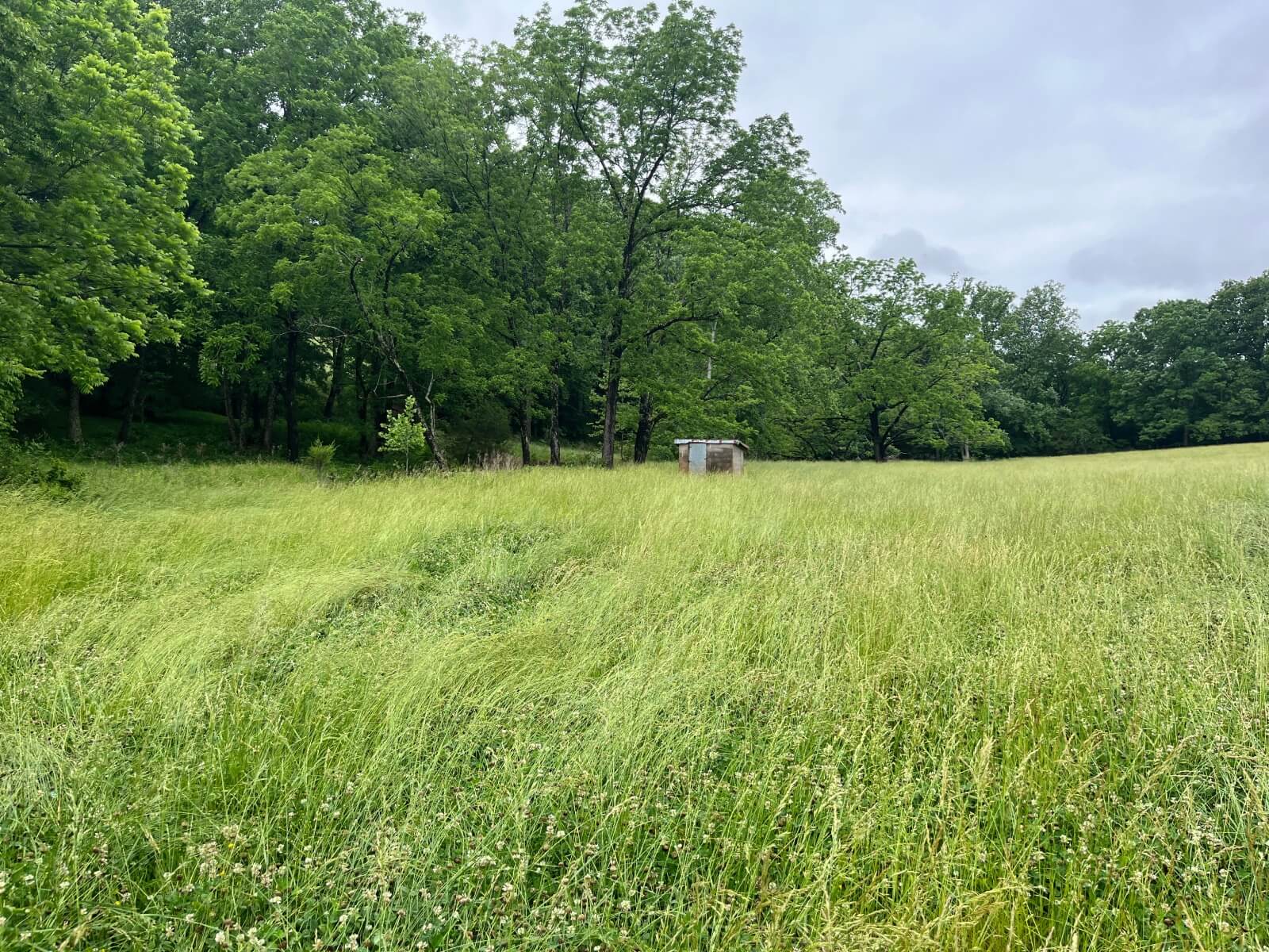 photo of double rock conservation mitigation easement north carolina