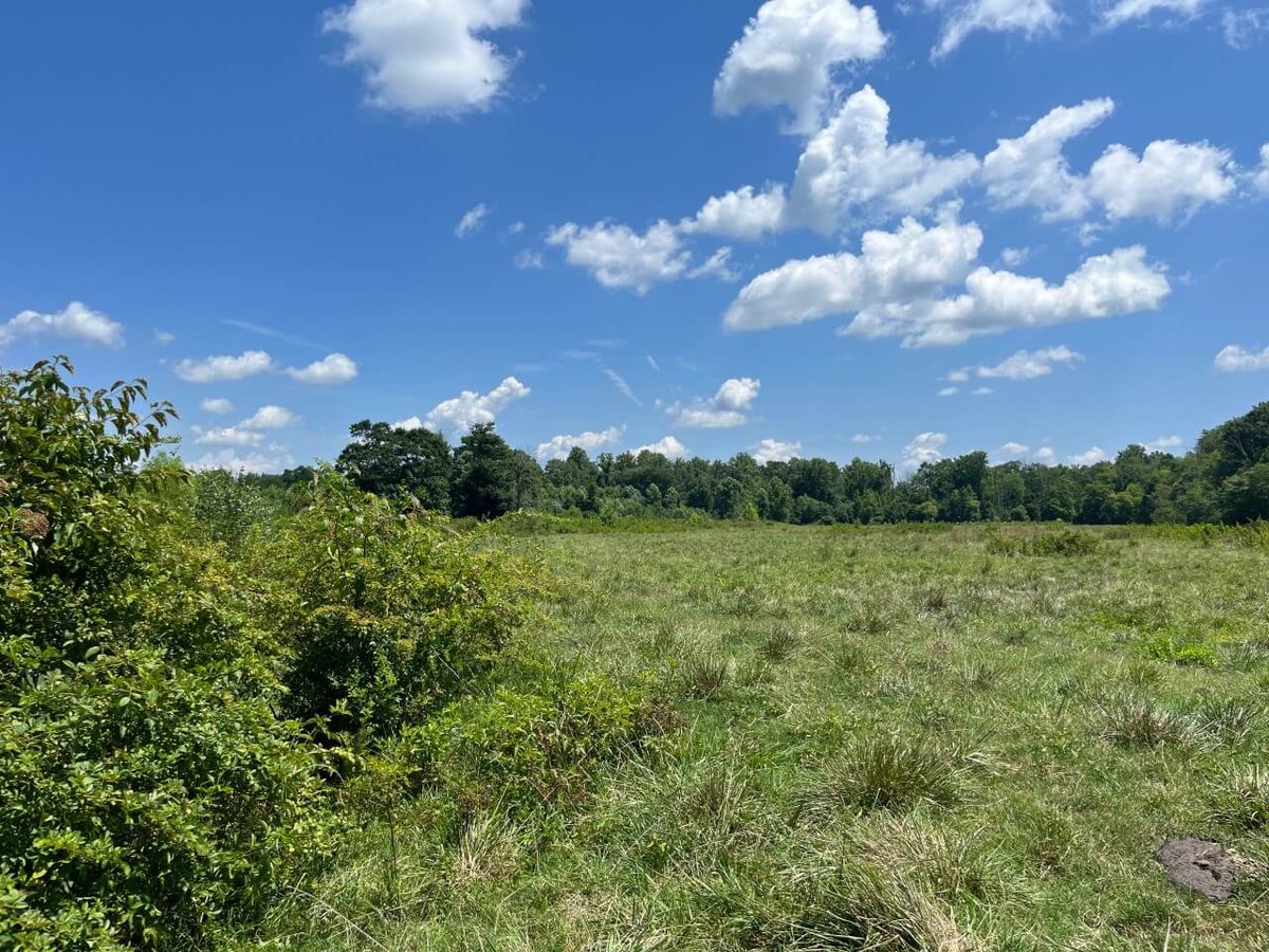 photo of flat rock conservation easement in north carolina