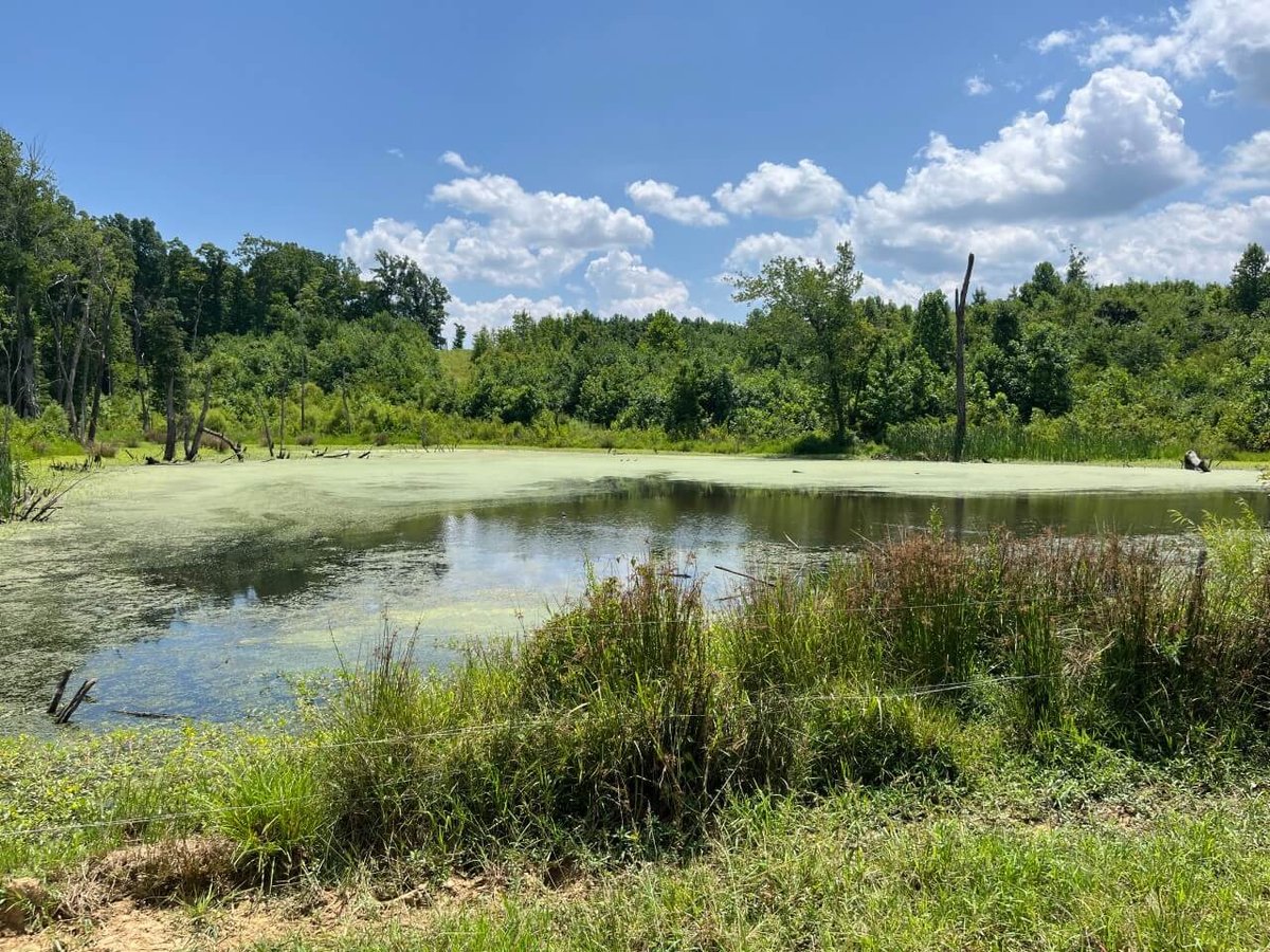 photo of flat rock conservation easement nc