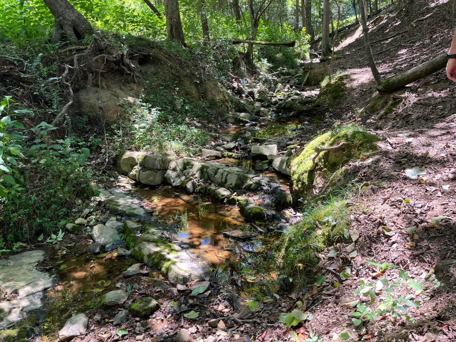 photo of four hills conservation easement north carolina